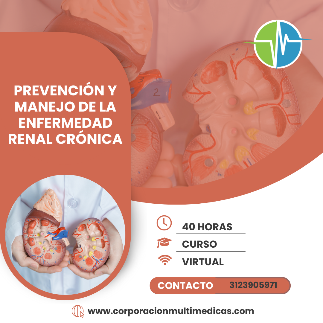PREVENCIÓN Y MANEJO DE LA ENFERMEDAD RENAL CRÓNICA