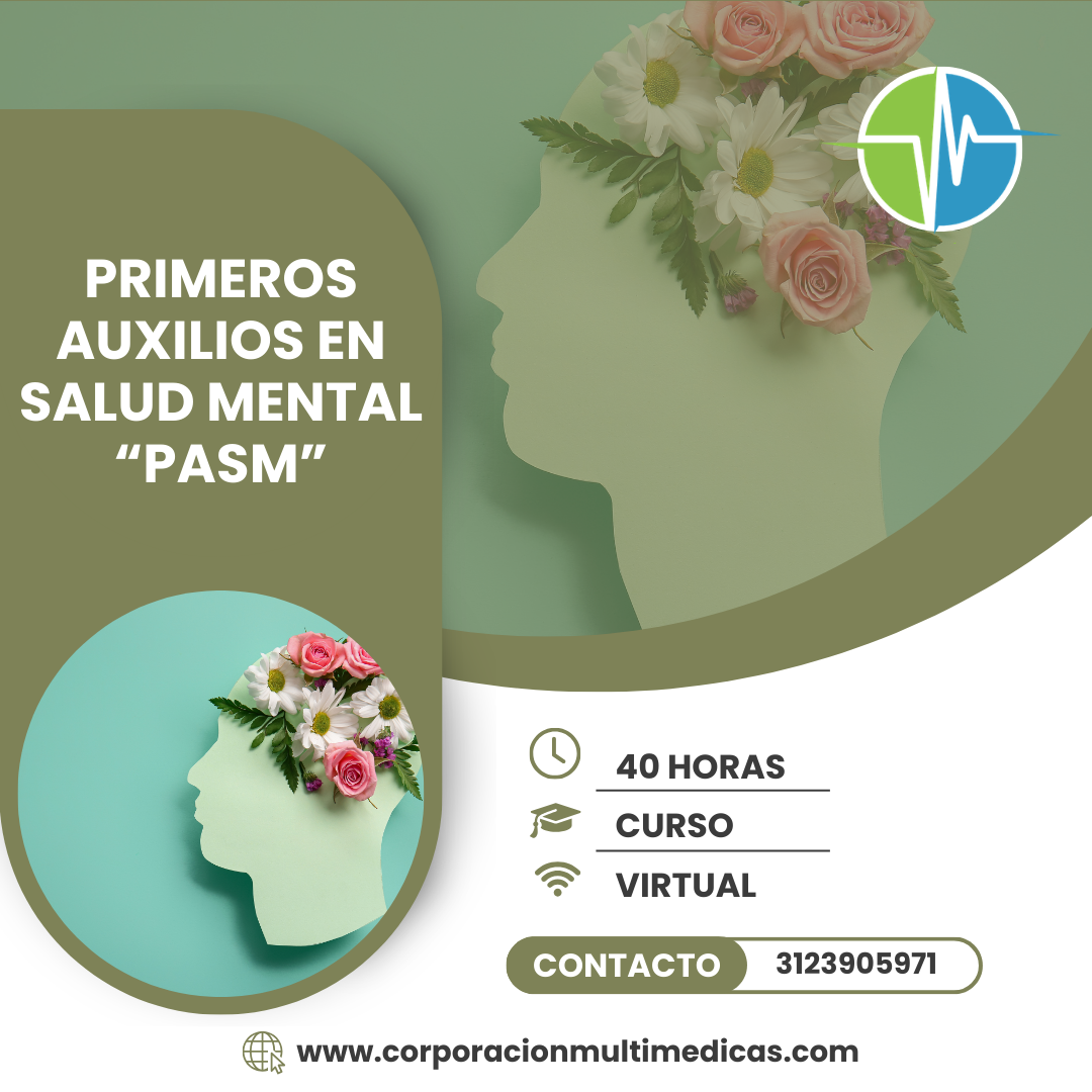 PRIMEROS AUXILIOS EN SALUD MENTAL (PASM)