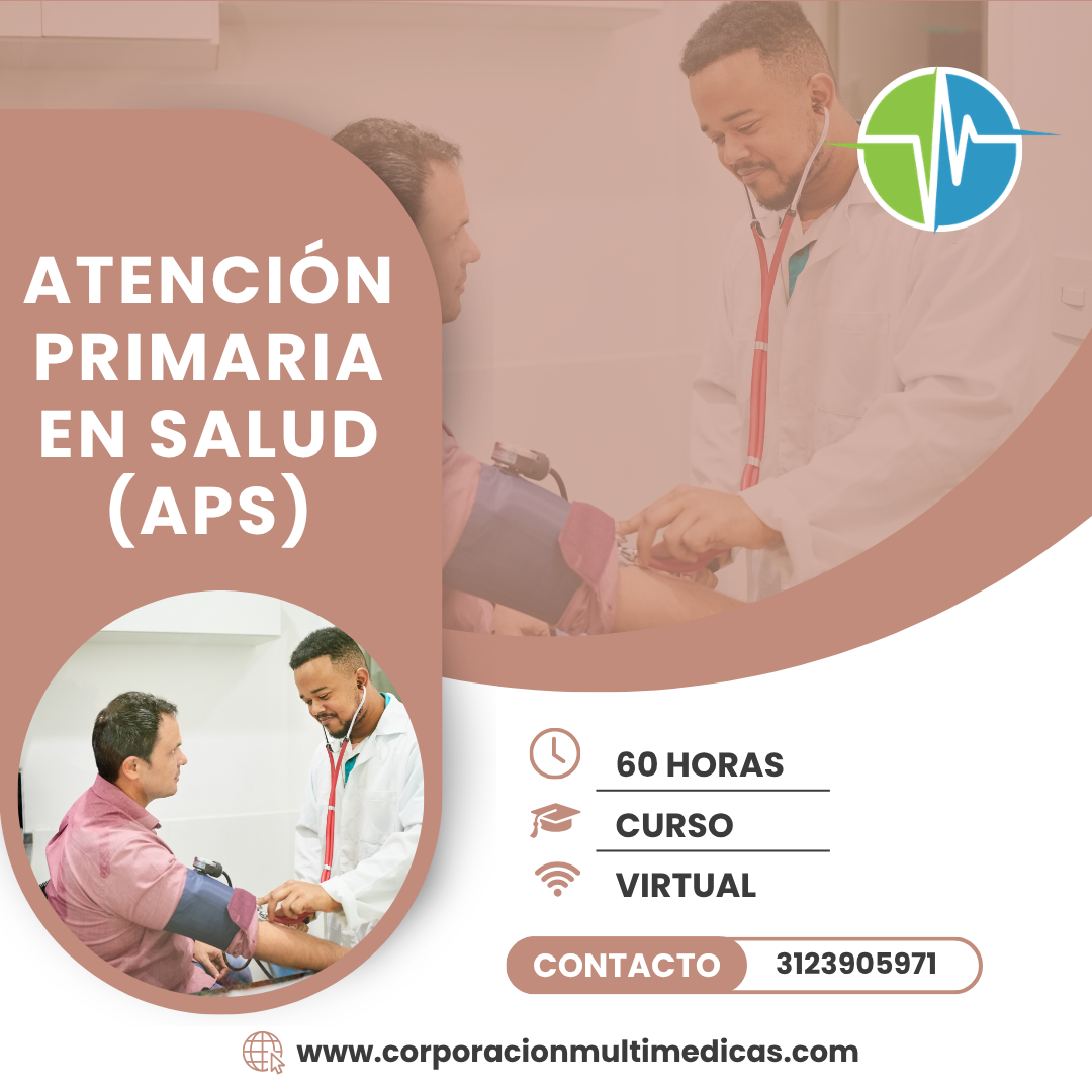 ATENCIÓN PRIMARIA EN SALUD (APS)